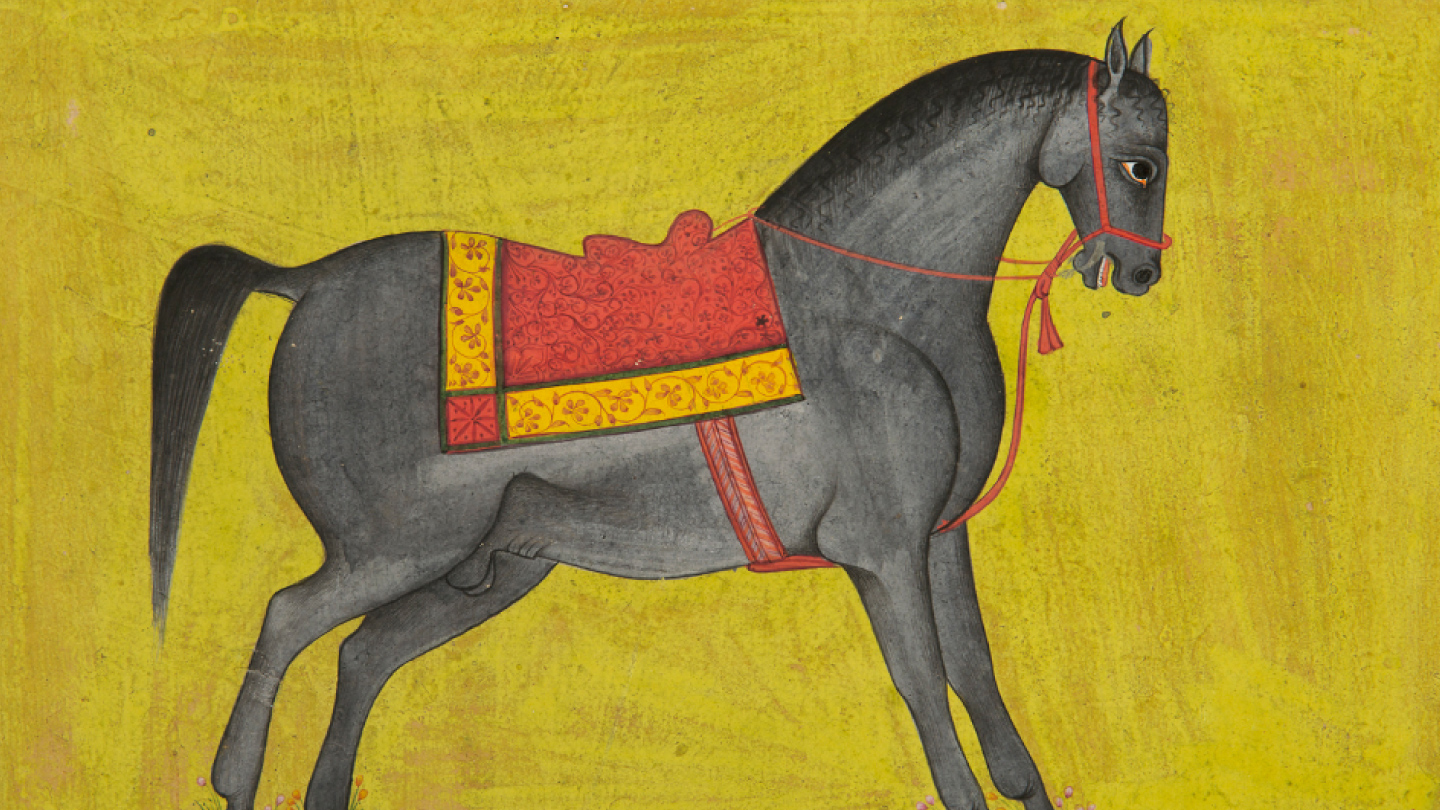 How the Horse Shaped India