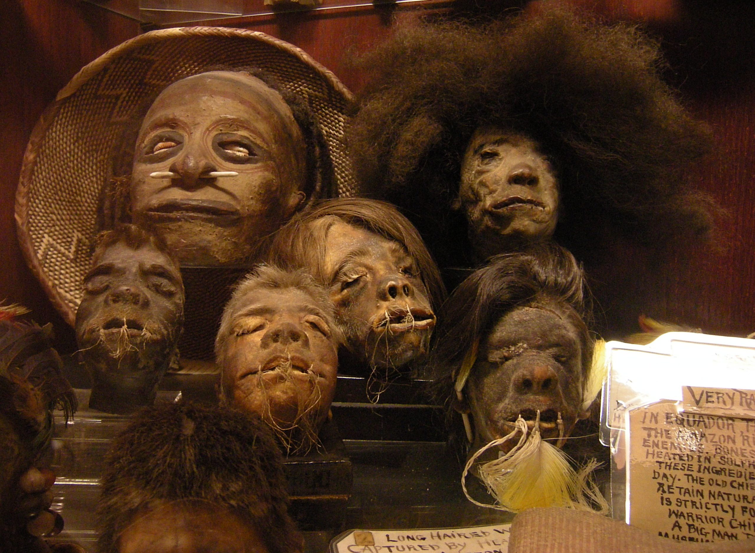 shrunken-heads-from-the-permanent-collection-of-Ye-Olde-Curiosity-Shop-scaled-7