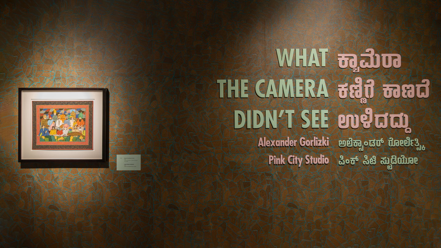 A photo of a wall with the words What The Camera Didn't See Alexander Gorlizki/ Pink City Studio written in Kannada and English