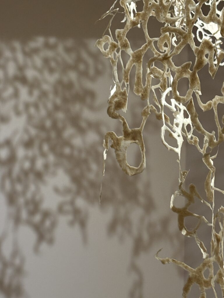 Small interconnected bone-coloured swirls hang and cast a large shadow on the wall behind